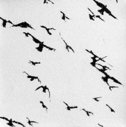 Judith Marin Oiseaux peinture acrylique sur toile noir et blanc